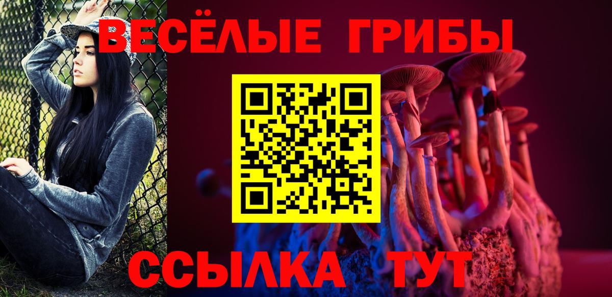 Медногорск  Псилоцибиновые грибы GOLDEN TEACHER  купить наркоту  Вход с VPN  Псилоцибиновые грибы мухоморы 